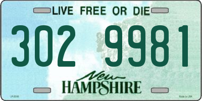 NH license plate 3029981