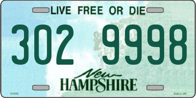 NH license plate 3029998