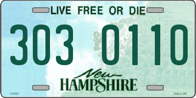NH license plate 3030110