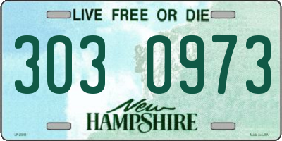 NH license plate 3030973