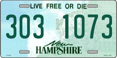 NH license plate 3031073