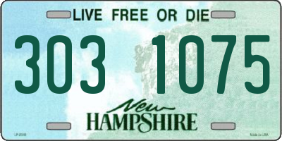 NH license plate 3031075