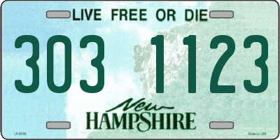 NH license plate 3031123