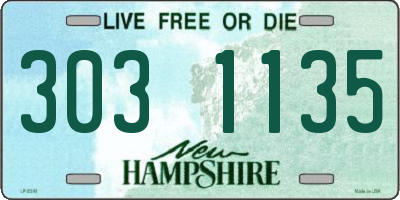 NH license plate 3031135
