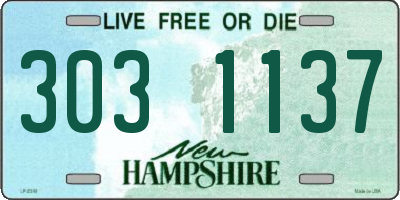NH license plate 3031137