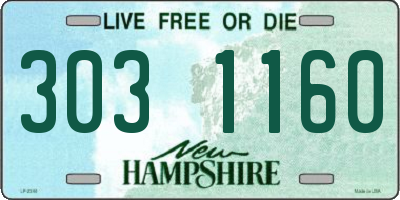 NH license plate 3031160