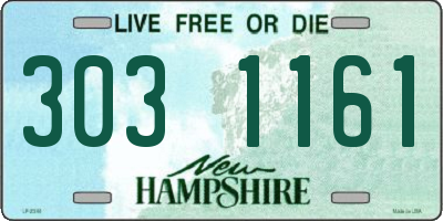 NH license plate 3031161