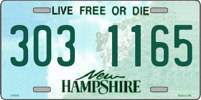 NH license plate 3031165