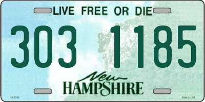 NH license plate 3031185