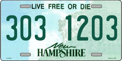 NH license plate 3031203