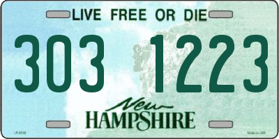 NH license plate 3031223