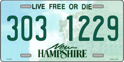 NH license plate 3031229
