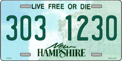 NH license plate 3031230