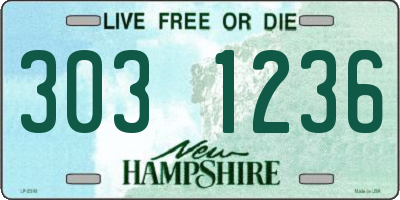 NH license plate 3031236