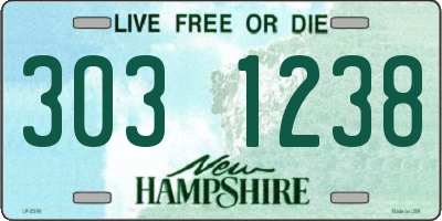 NH license plate 3031238