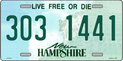 NH license plate 3031441