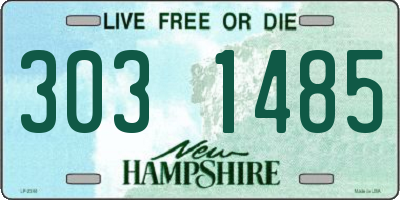 NH license plate 3031485