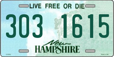 NH license plate 3031615