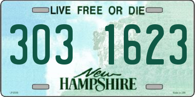 NH license plate 3031623