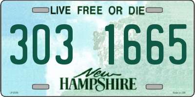 NH license plate 3031665