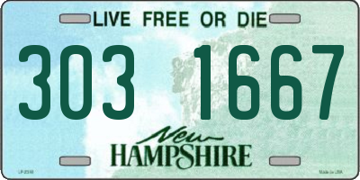 NH license plate 3031667