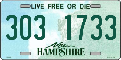 NH license plate 3031733