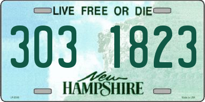 NH license plate 3031823