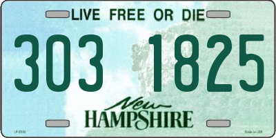 NH license plate 3031825