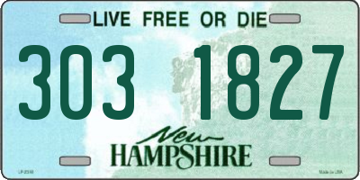 NH license plate 3031827
