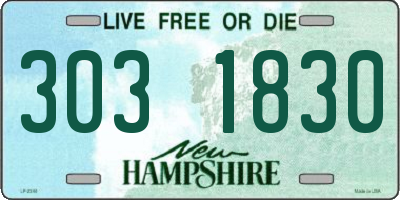 NH license plate 3031830