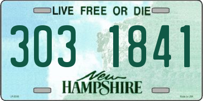 NH license plate 3031841
