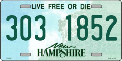 NH license plate 3031852