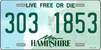 NH license plate 3031853