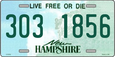NH license plate 3031856
