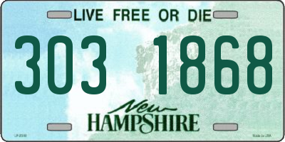 NH license plate 3031868