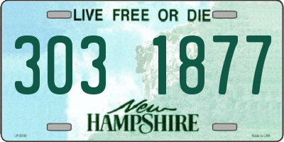 NH license plate 3031877