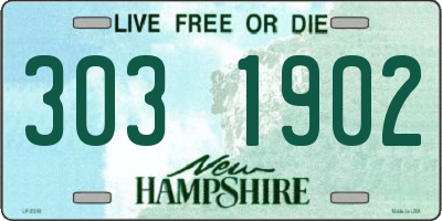 NH license plate 3031902