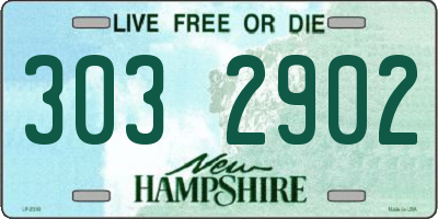 NH license plate 3032902