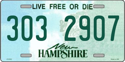 NH license plate 3032907