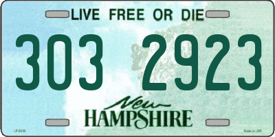 NH license plate 3032923