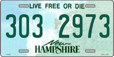 NH license plate 3032973