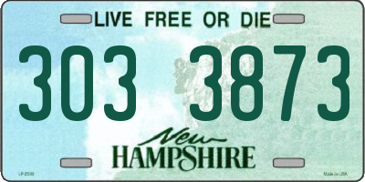 NH license plate 3033873