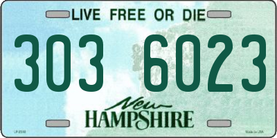 NH license plate 3036023
