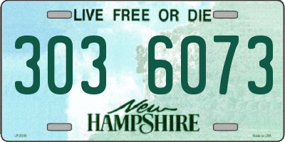 NH license plate 3036073