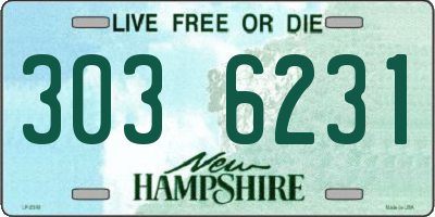 NH license plate 3036231