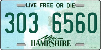NH license plate 3036560