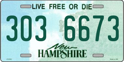 NH license plate 3036673