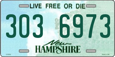 NH license plate 3036973