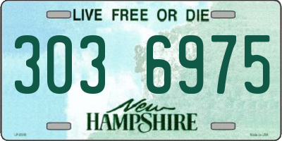 NH license plate 3036975