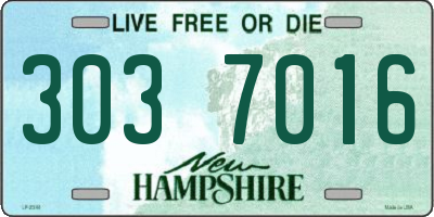 NH license plate 3037016